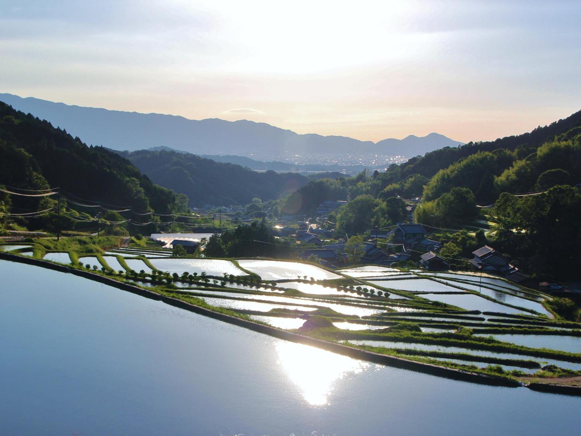 Grand Mercure Nara Kashihara Kashihara  Εξωτερικό φωτογραφία