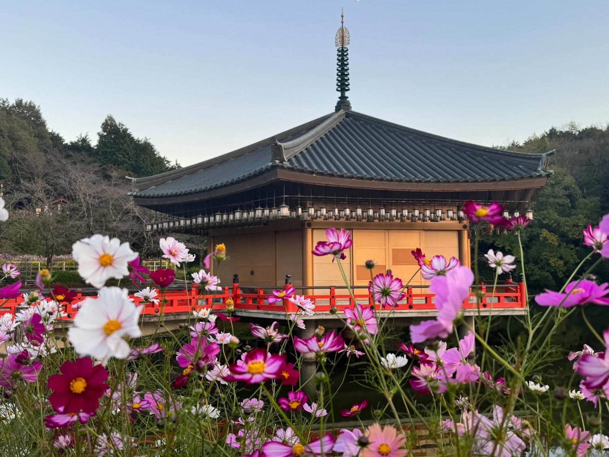 Grand Mercure Nara Kashihara Kashihara  Εξωτερικό φωτογραφία