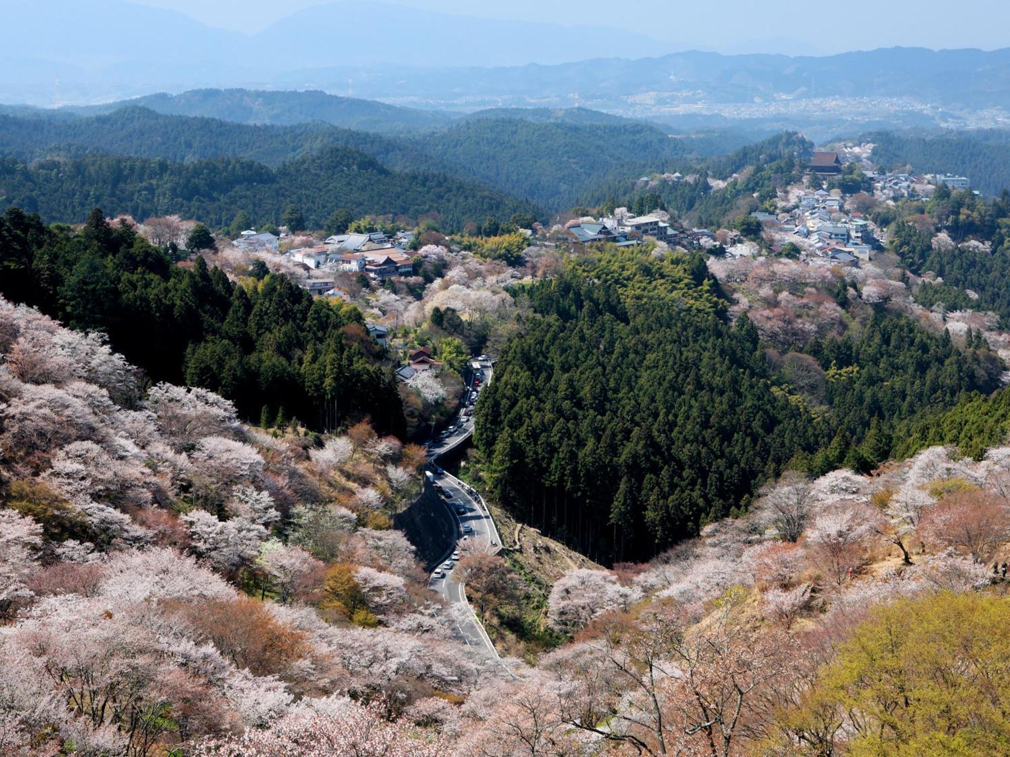 Grand Mercure Nara Kashihara Kashihara  Εξωτερικό φωτογραφία